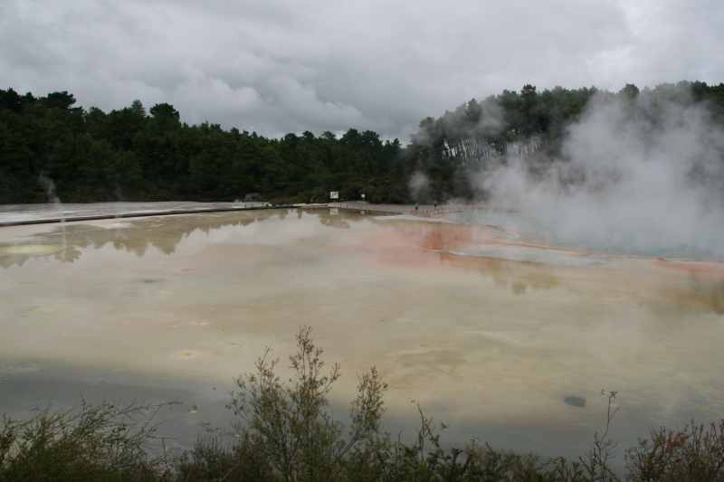 Nieuw-Zeeland 2011 - 0752